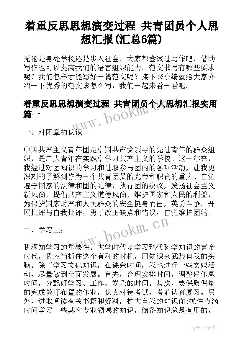 着重反思思想演变过程 共青团员个人思想汇报(汇总6篇)