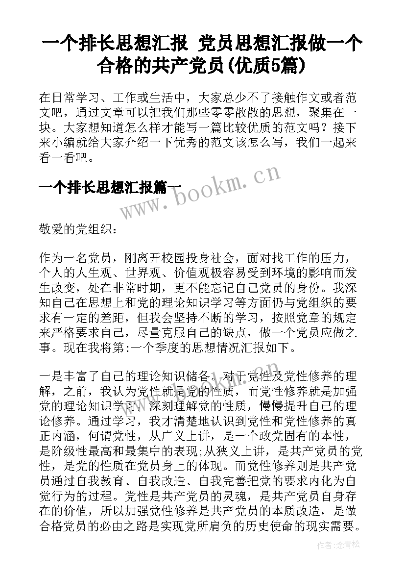 一个排长思想汇报 党员思想汇报做一个合格的共产党员(优质5篇)