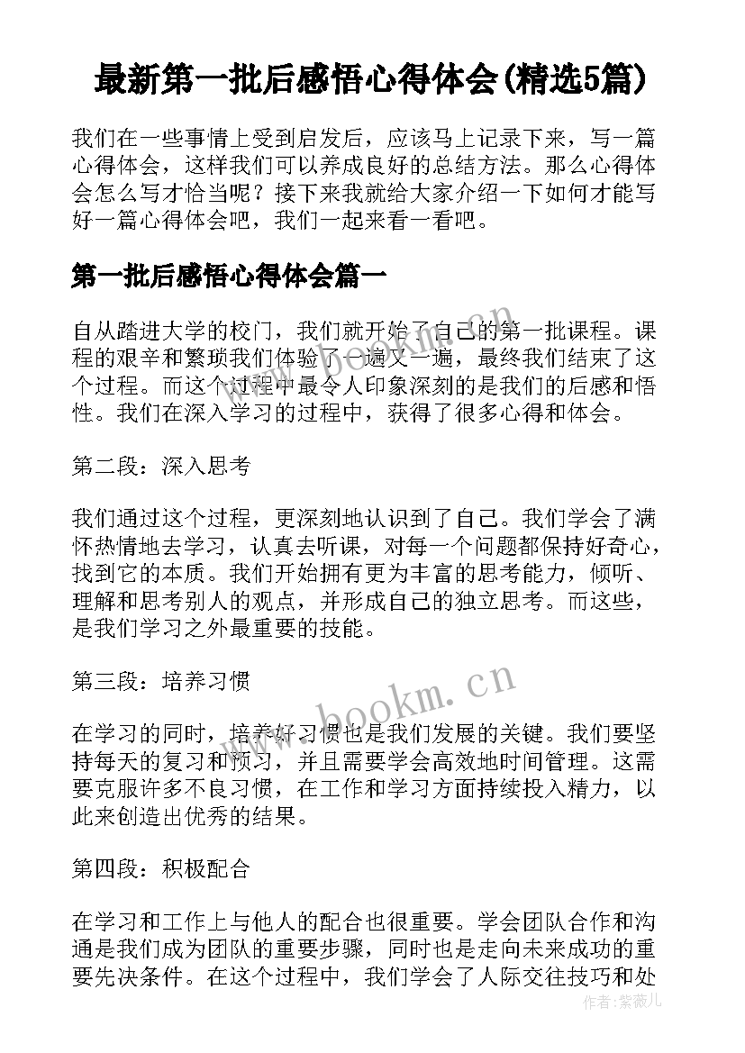 最新第一批后感悟心得体会(精选5篇)