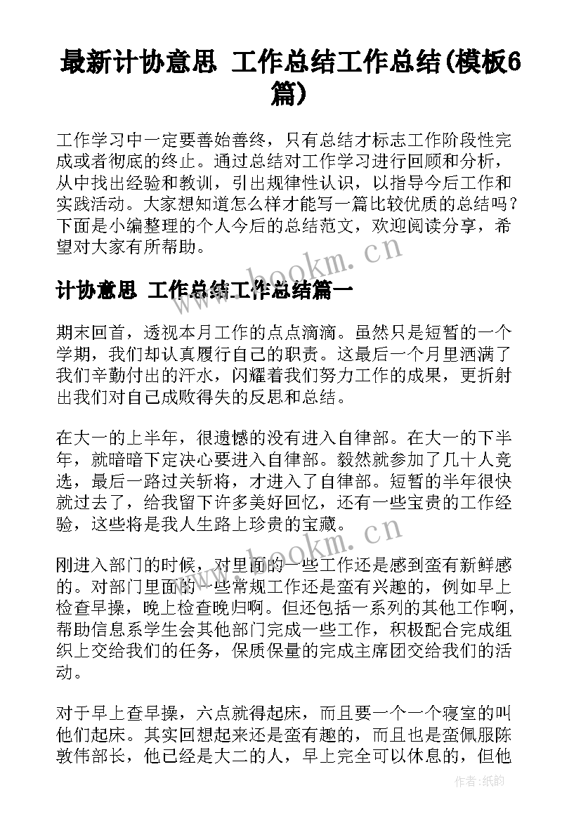 最新计协意思 工作总结工作总结(模板6篇)