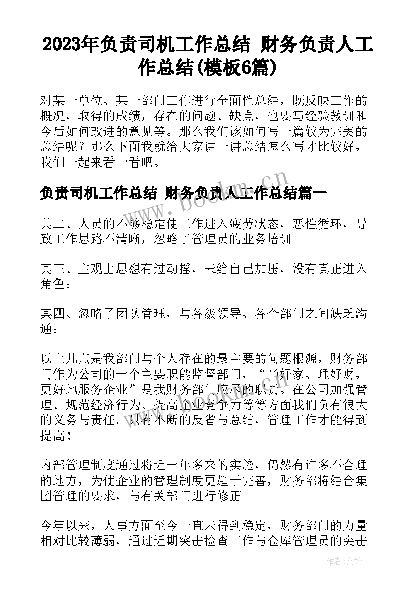 2023年负责司机工作总结 财务负责人工作总结(模板6篇)