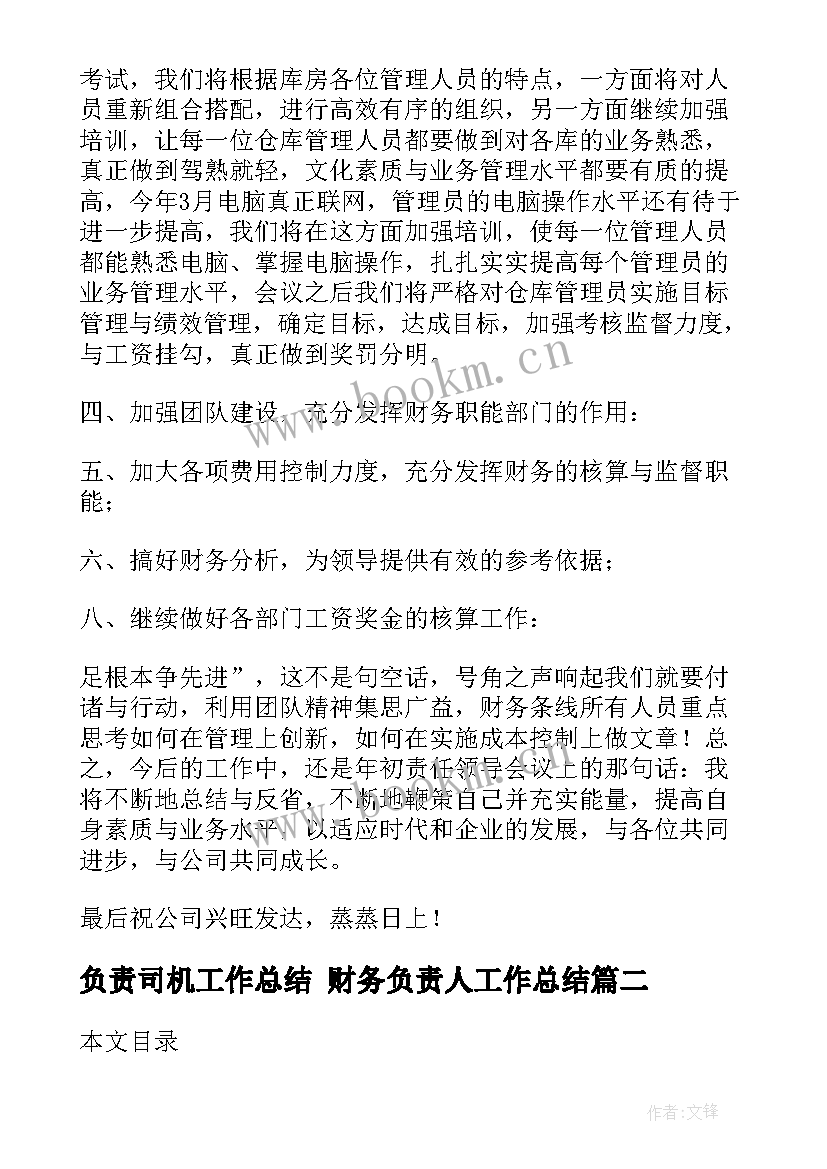 2023年负责司机工作总结 财务负责人工作总结(模板6篇)