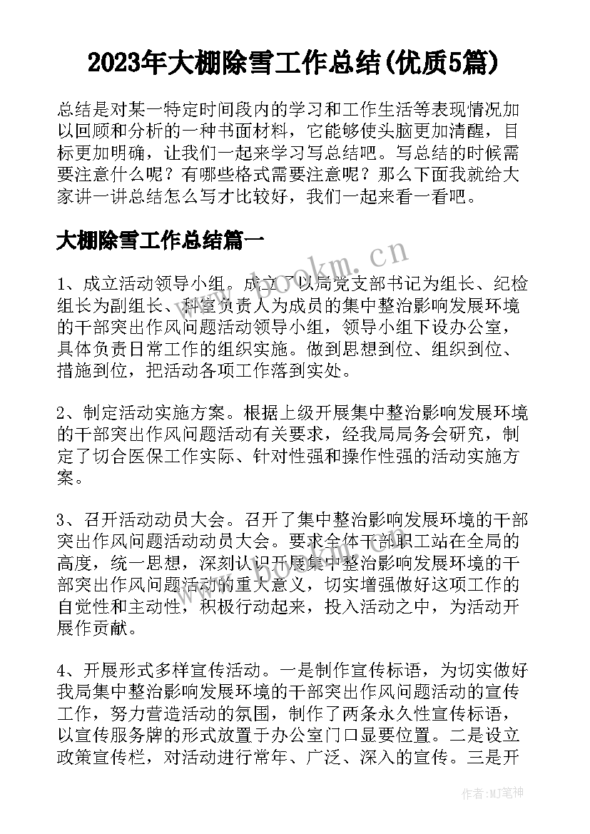 2023年大棚除雪工作总结(优质5篇)