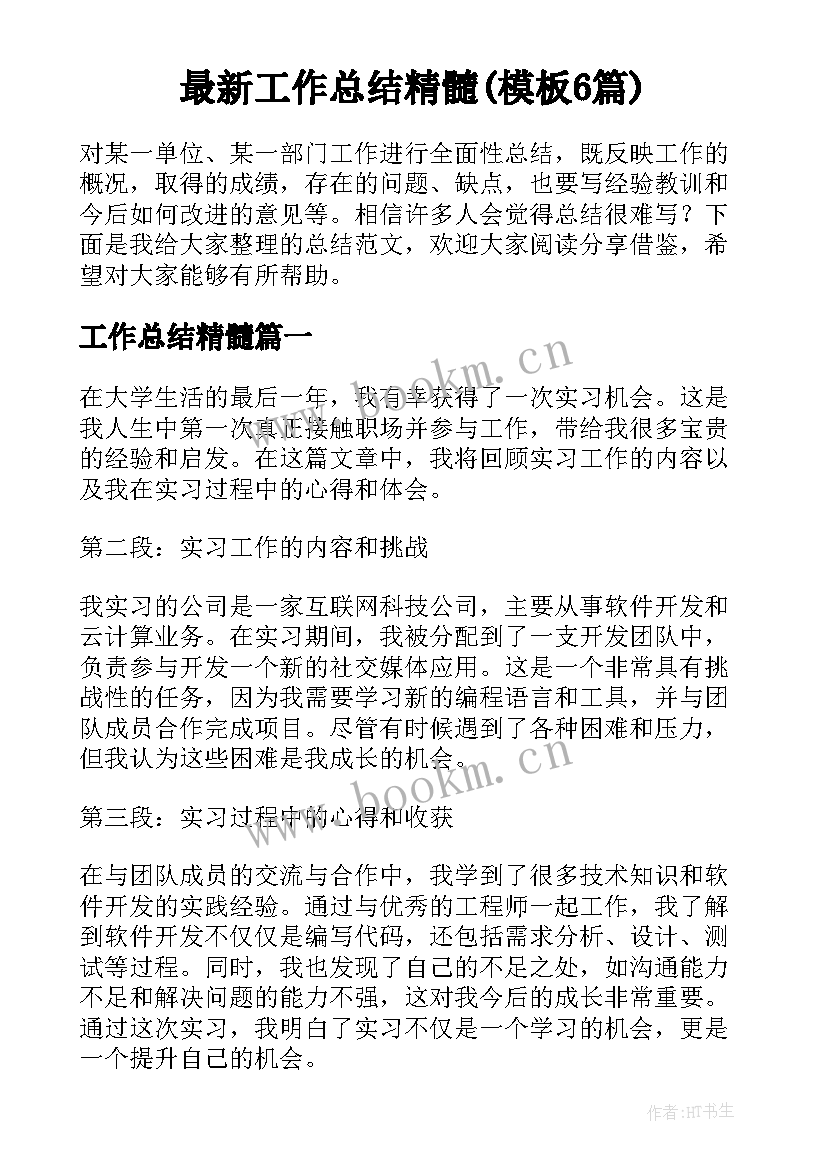 最新工作总结精髓(模板6篇)