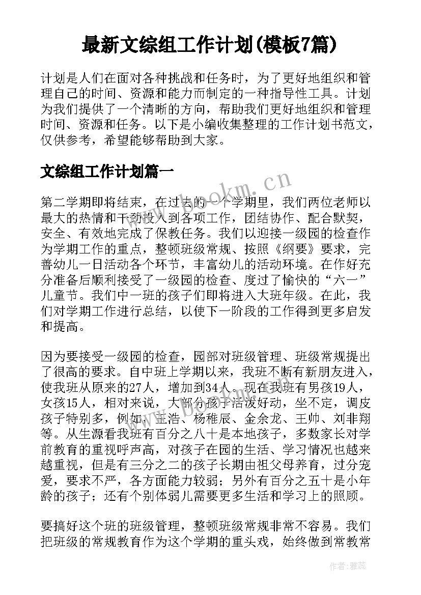 最新文综组工作计划(模板7篇)