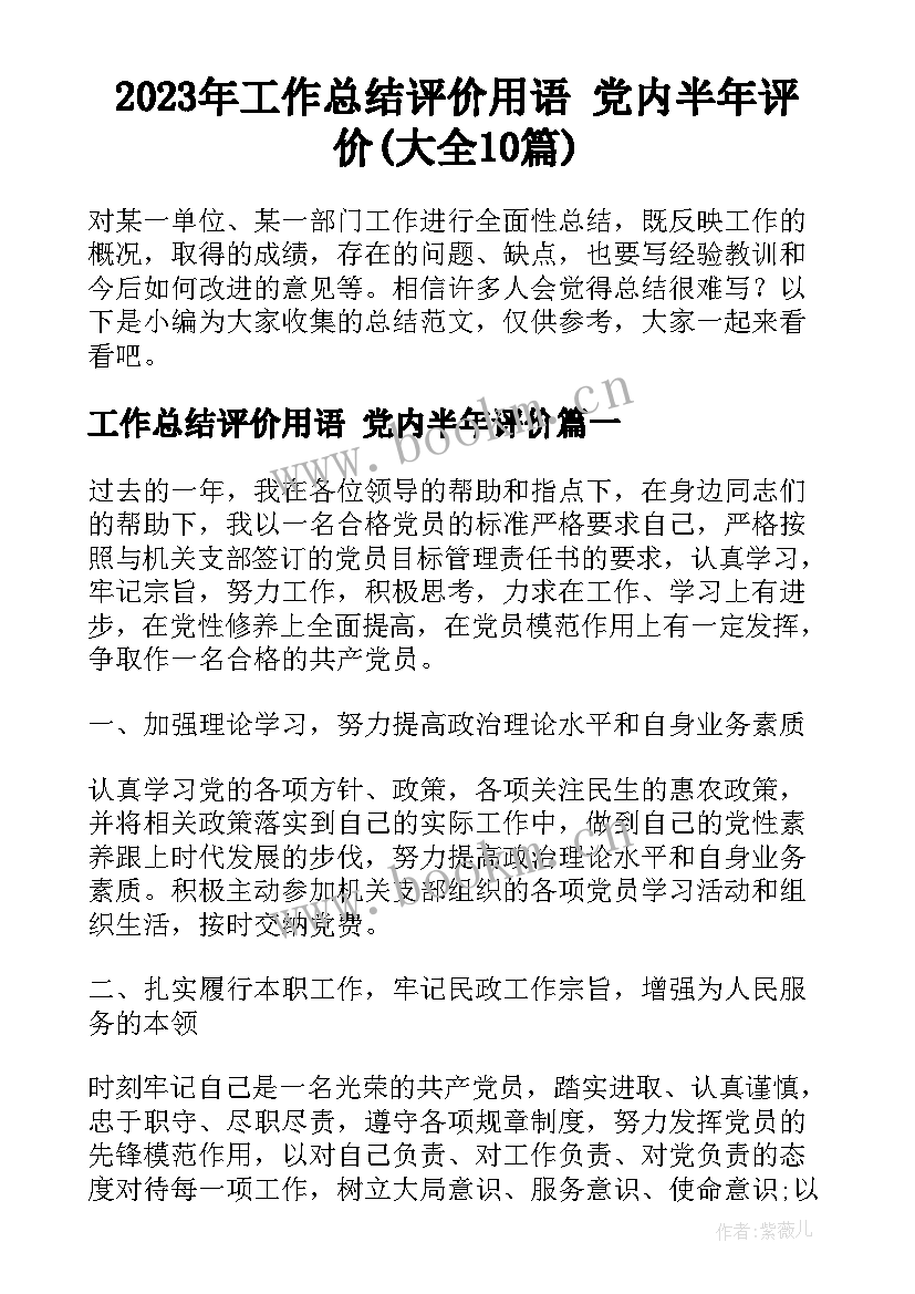 2023年工作总结评价用语 党内半年评价(大全10篇)