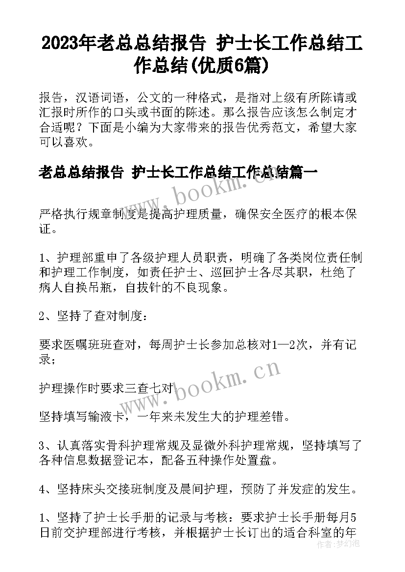 2023年老总总结报告 护士长工作总结工作总结(优质6篇)