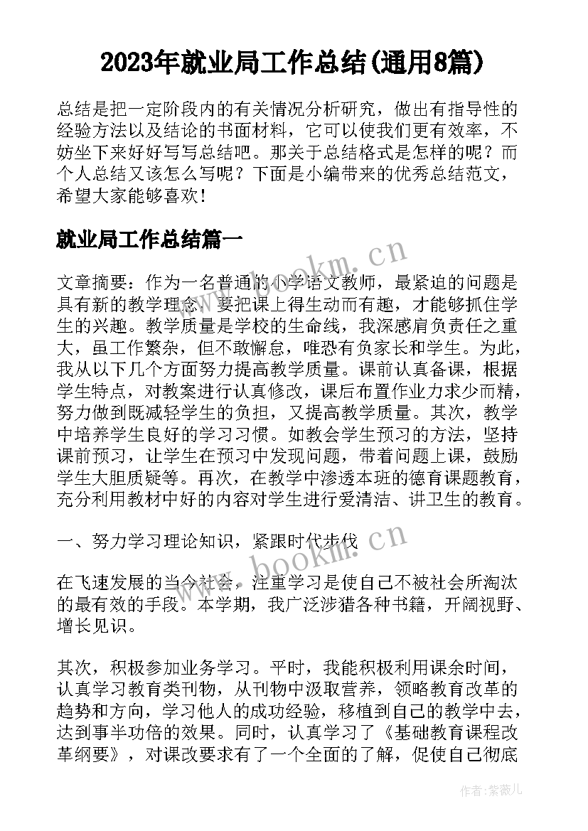 2023年就业局工作总结(通用8篇)