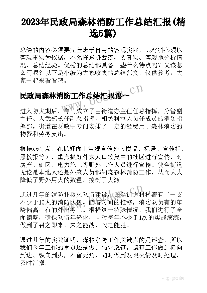 2023年民政局森林消防工作总结汇报(精选5篇)