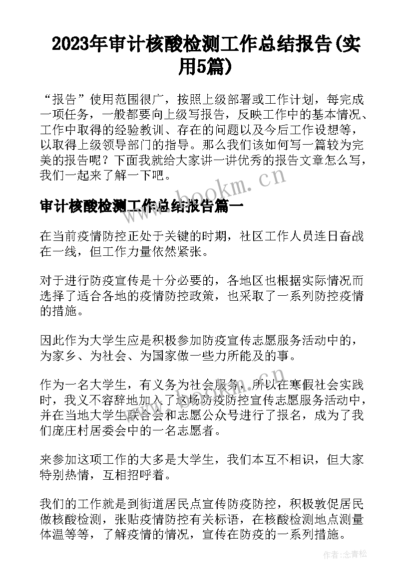 2023年审计核酸检测工作总结报告(实用5篇)