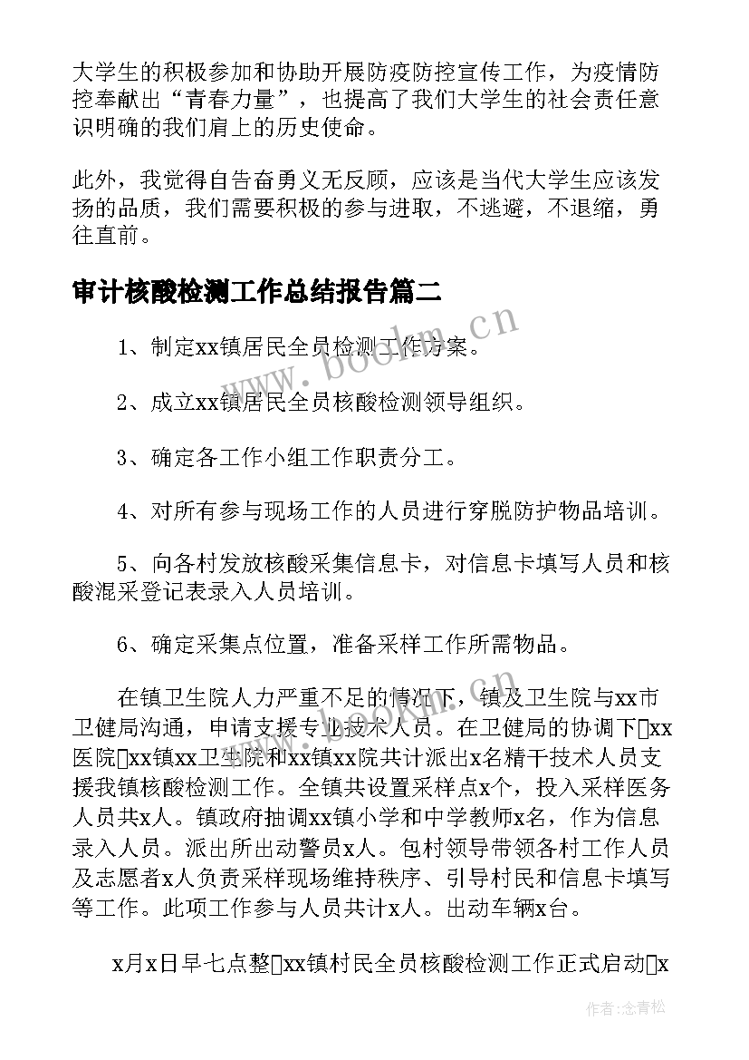 2023年审计核酸检测工作总结报告(实用5篇)