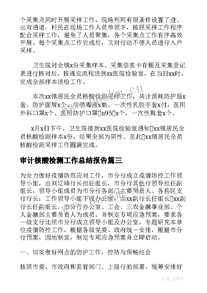 2023年审计核酸检测工作总结报告(实用5篇)