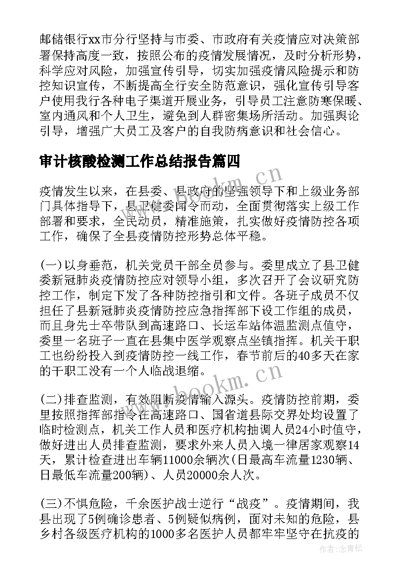 2023年审计核酸检测工作总结报告(实用5篇)