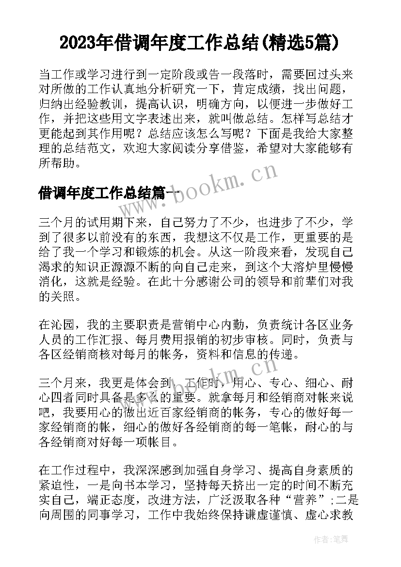 2023年借调年度工作总结(精选5篇)