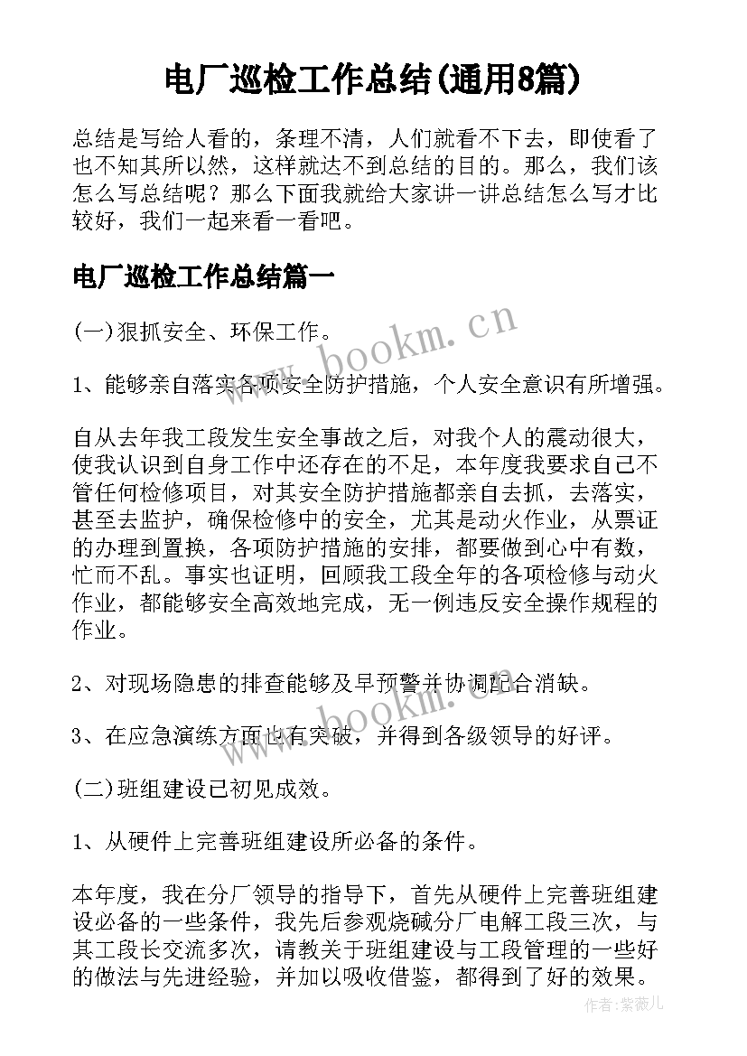 电厂巡检工作总结(通用8篇)