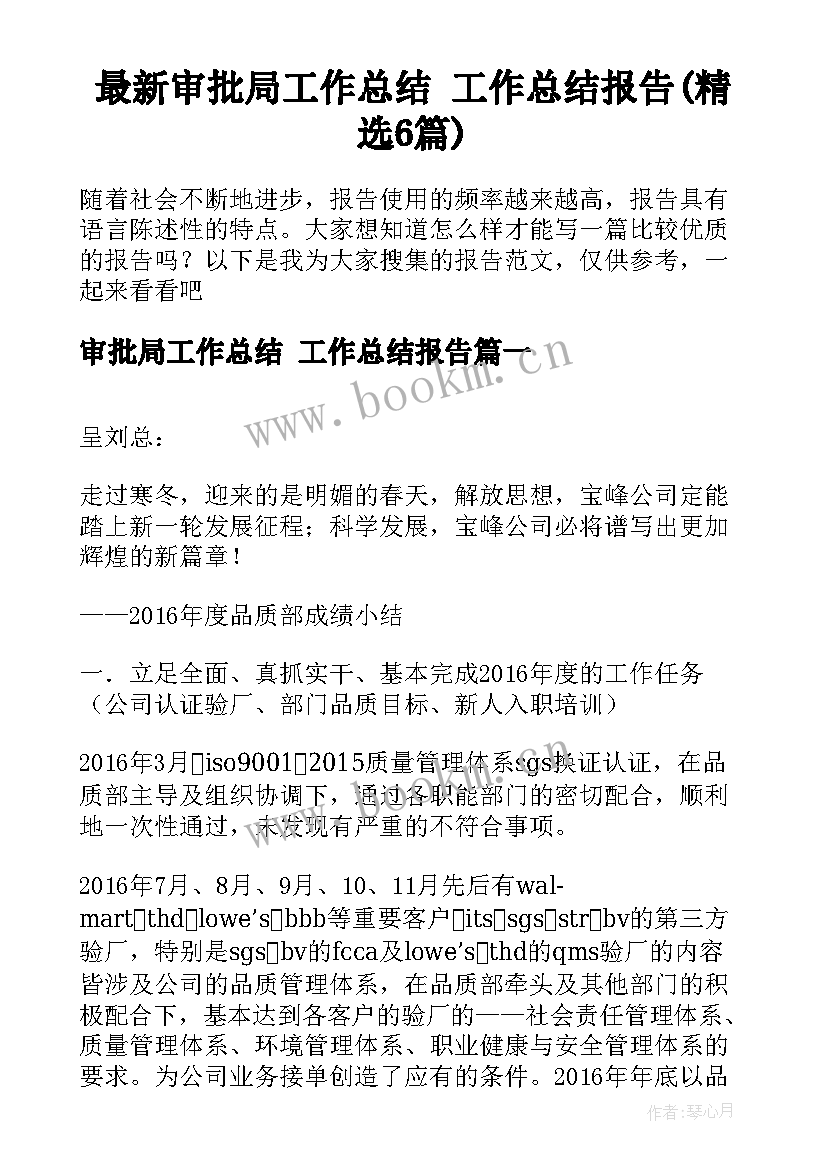 最新审批局工作总结 工作总结报告(精选6篇)