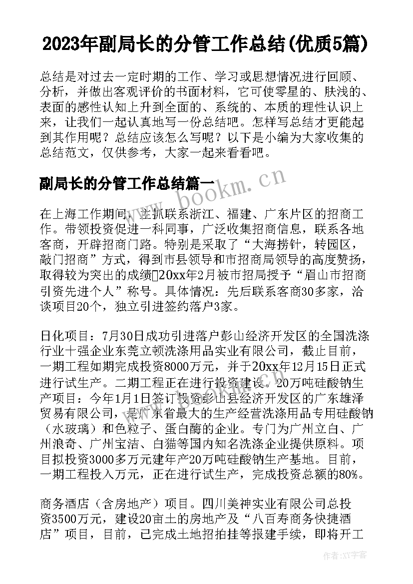 2023年副局长的分管工作总结(优质5篇)