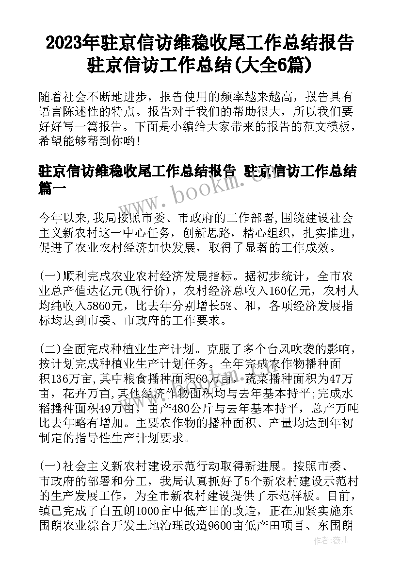 2023年驻京信访维稳收尾工作总结报告 驻京信访工作总结(大全6篇)