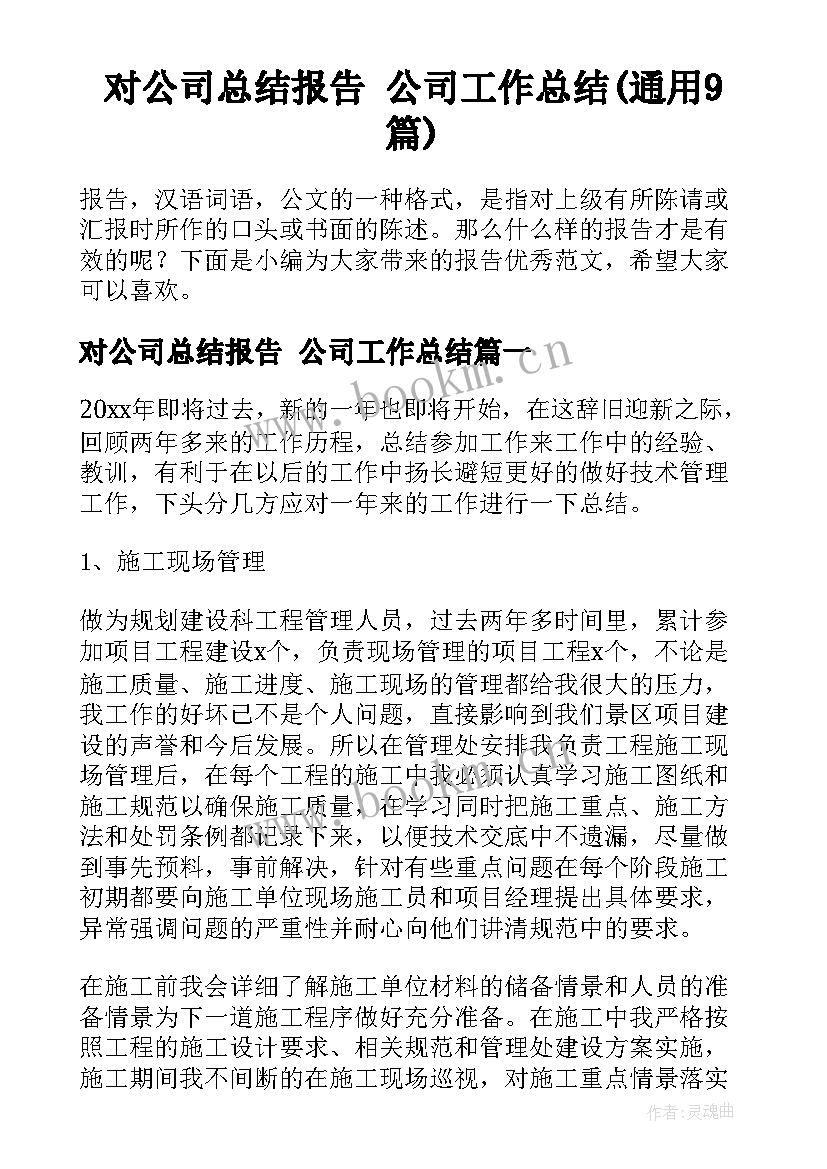 对公司总结报告 公司工作总结(通用9篇)