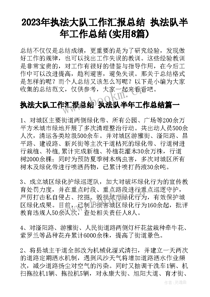 2023年执法大队工作汇报总结 执法队半年工作总结(实用8篇)