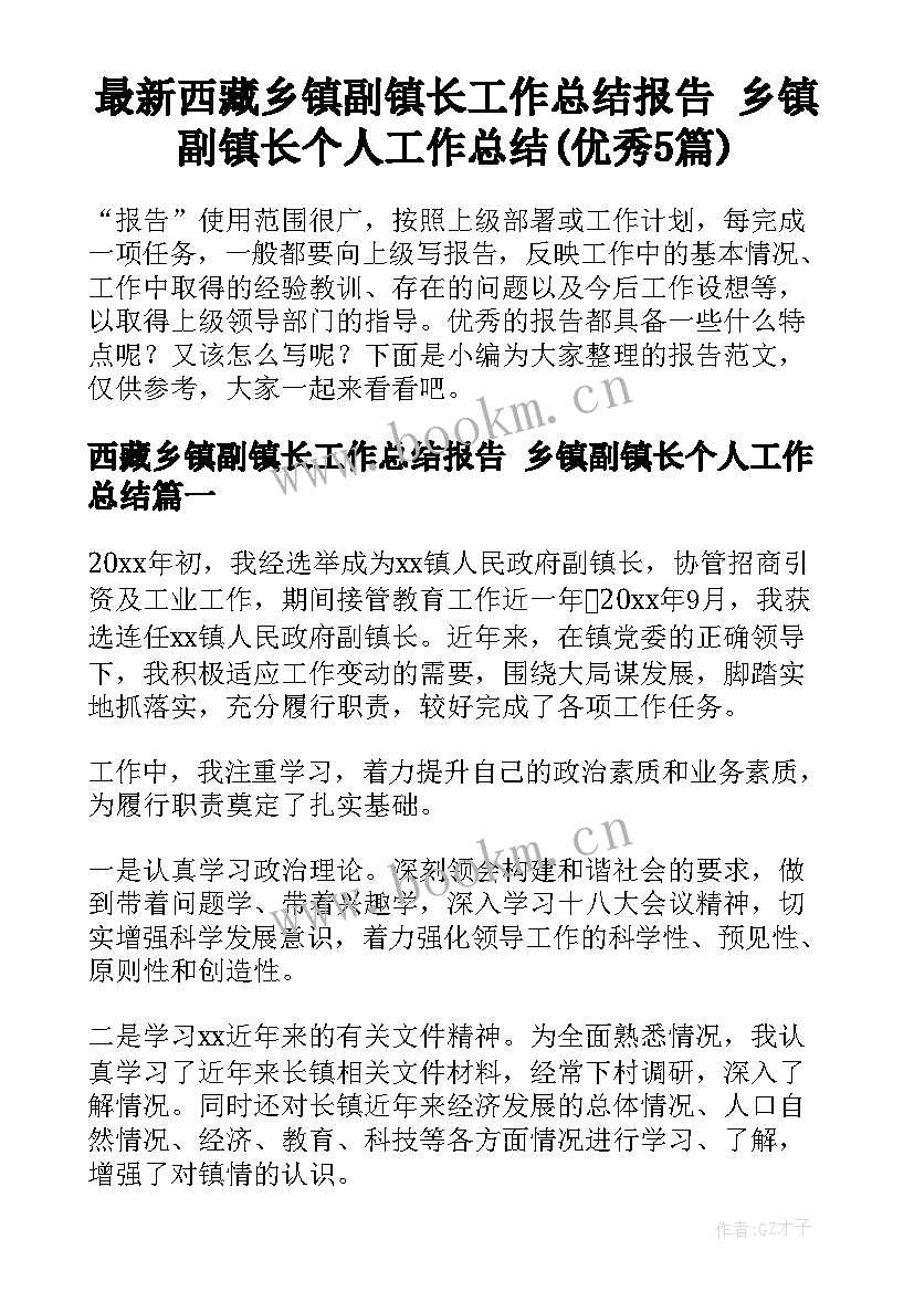 最新西藏乡镇副镇长工作总结报告 乡镇副镇长个人工作总结(优秀5篇)