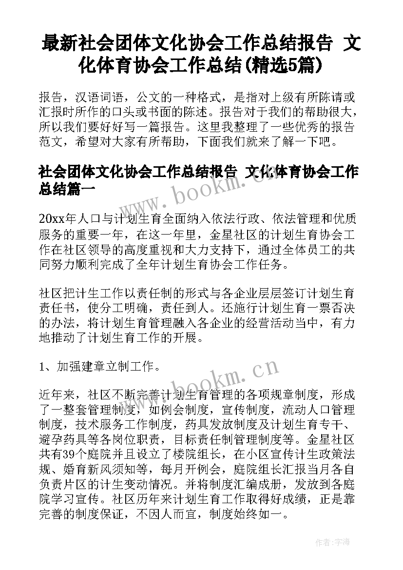 最新社会团体文化协会工作总结报告 文化体育协会工作总结(精选5篇)