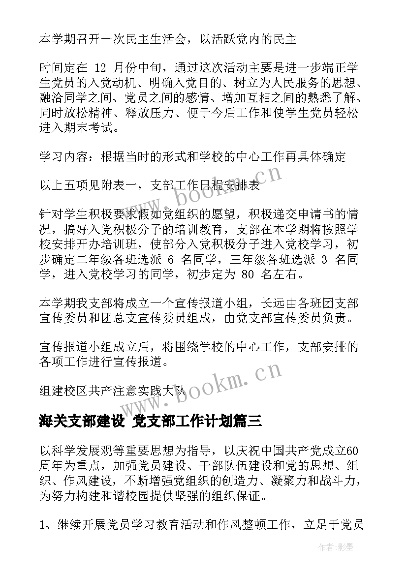 海关支部建设 党支部工作计划(大全7篇)