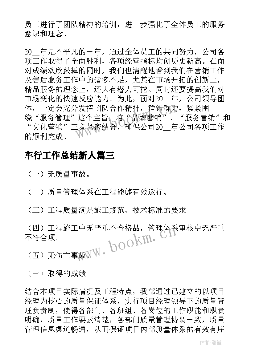 2023年车行工作总结新人(通用8篇)