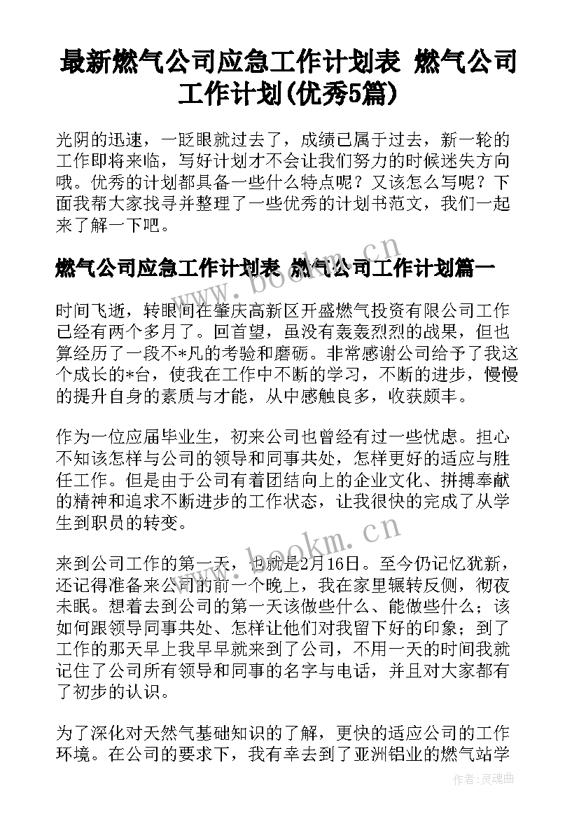 最新燃气公司应急工作计划表 燃气公司工作计划(优秀5篇)