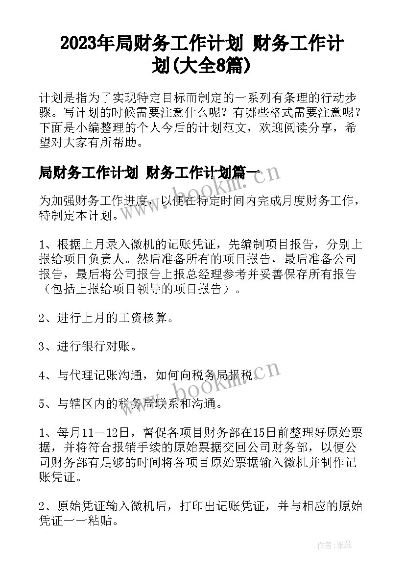 2023年局财务工作计划 财务工作计划(大全8篇)