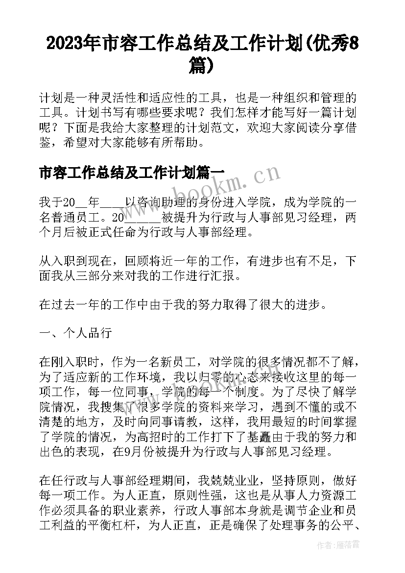 2023年市容工作总结及工作计划(优秀8篇)