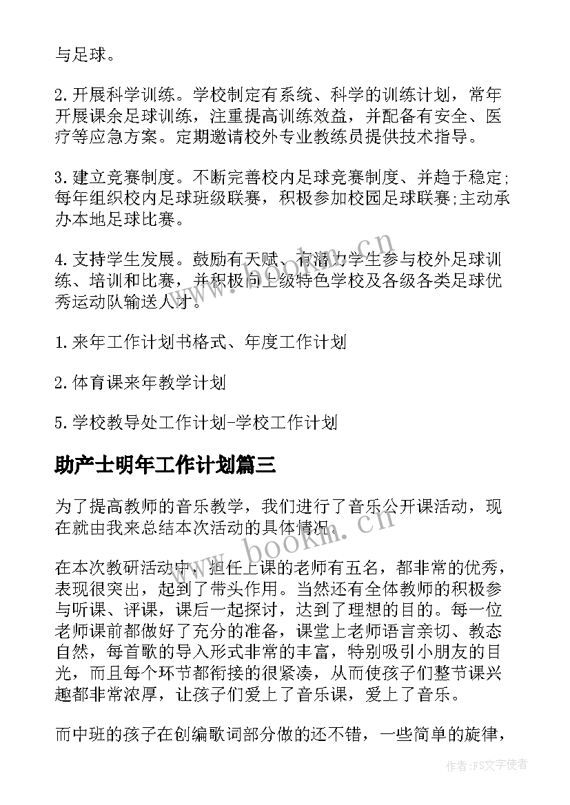 2023年助产士明年工作计划(优质5篇)