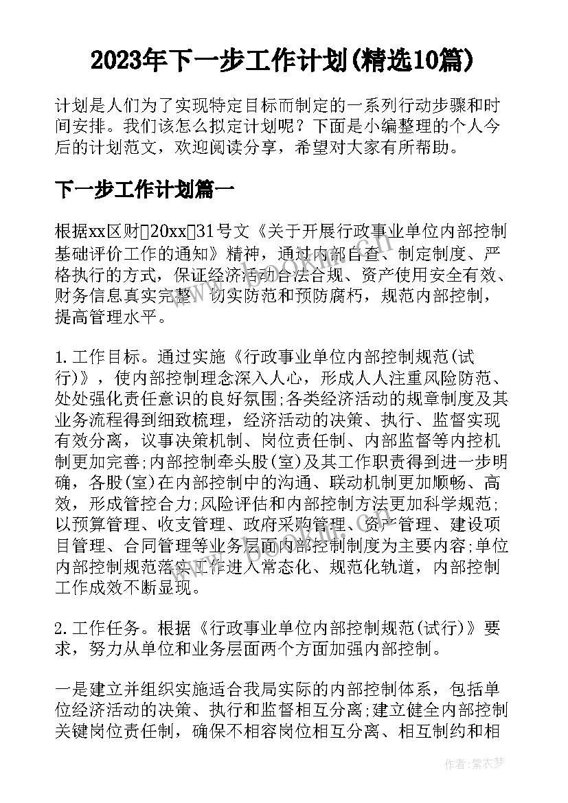 2023年下一步工作计划(精选10篇)