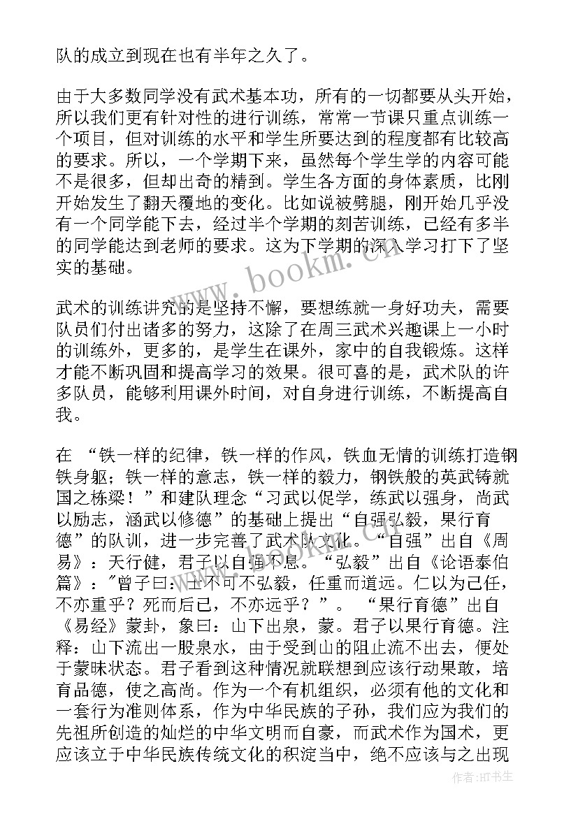 2023年武术年终总结 武术操(优质8篇)