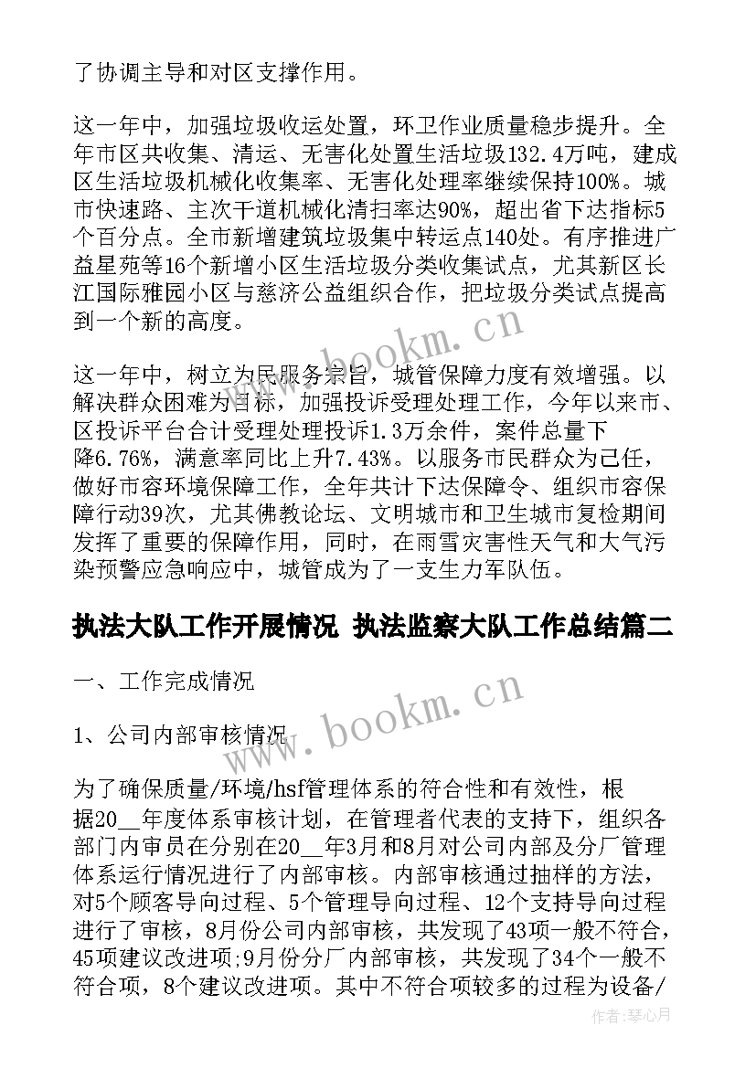 执法大队工作开展情况 执法监察大队工作总结(大全5篇)