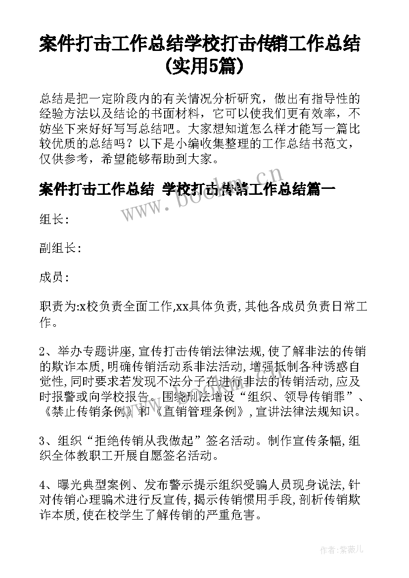 案件打击工作总结 学校打击传销工作总结(实用5篇)