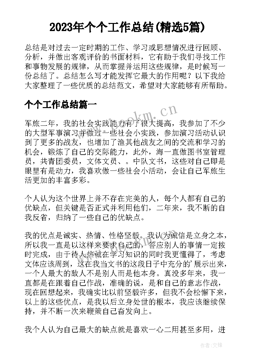 2023年个个工作总结(精选5篇)