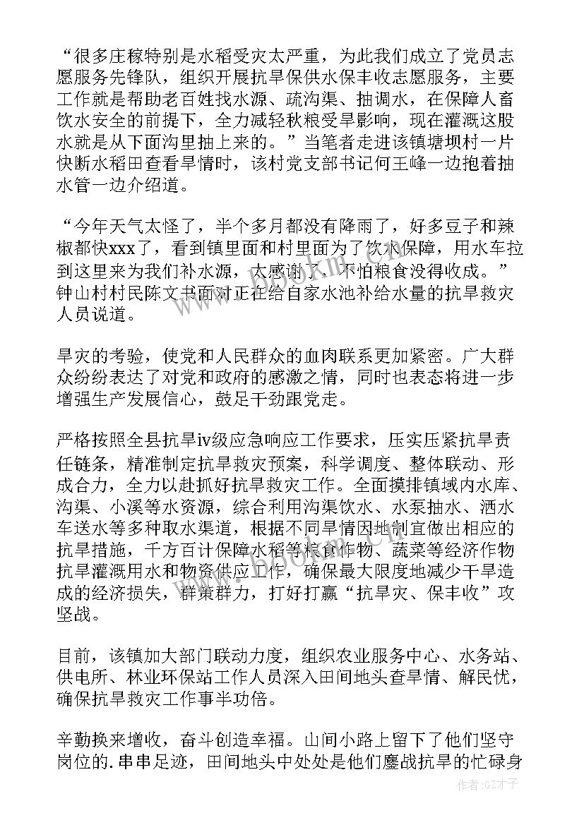 2023年绿化灌溉方案(汇总7篇)