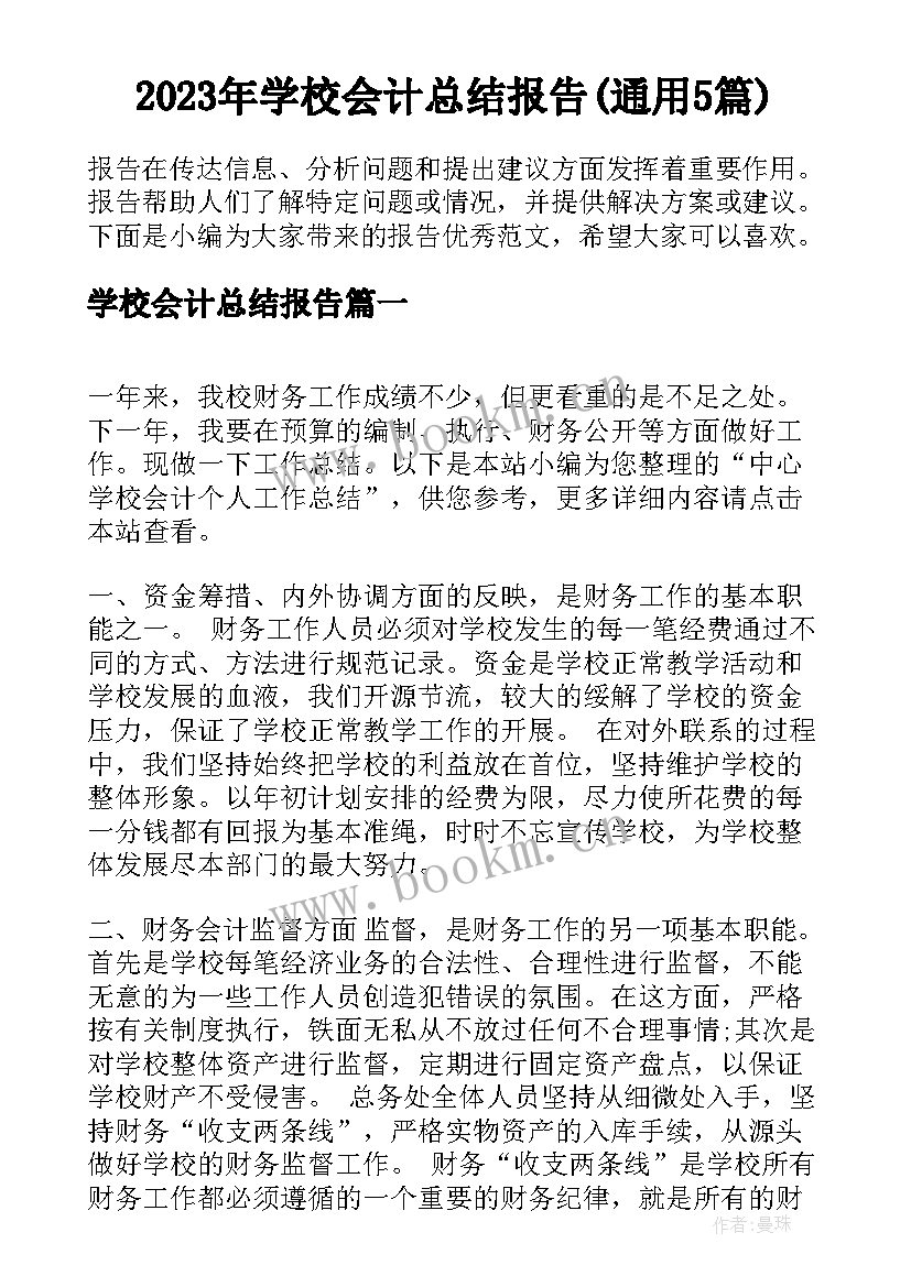 2023年学校会计总结报告(通用5篇)