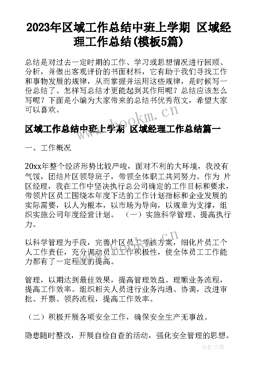 2023年区域工作总结中班上学期 区域经理工作总结(模板5篇)