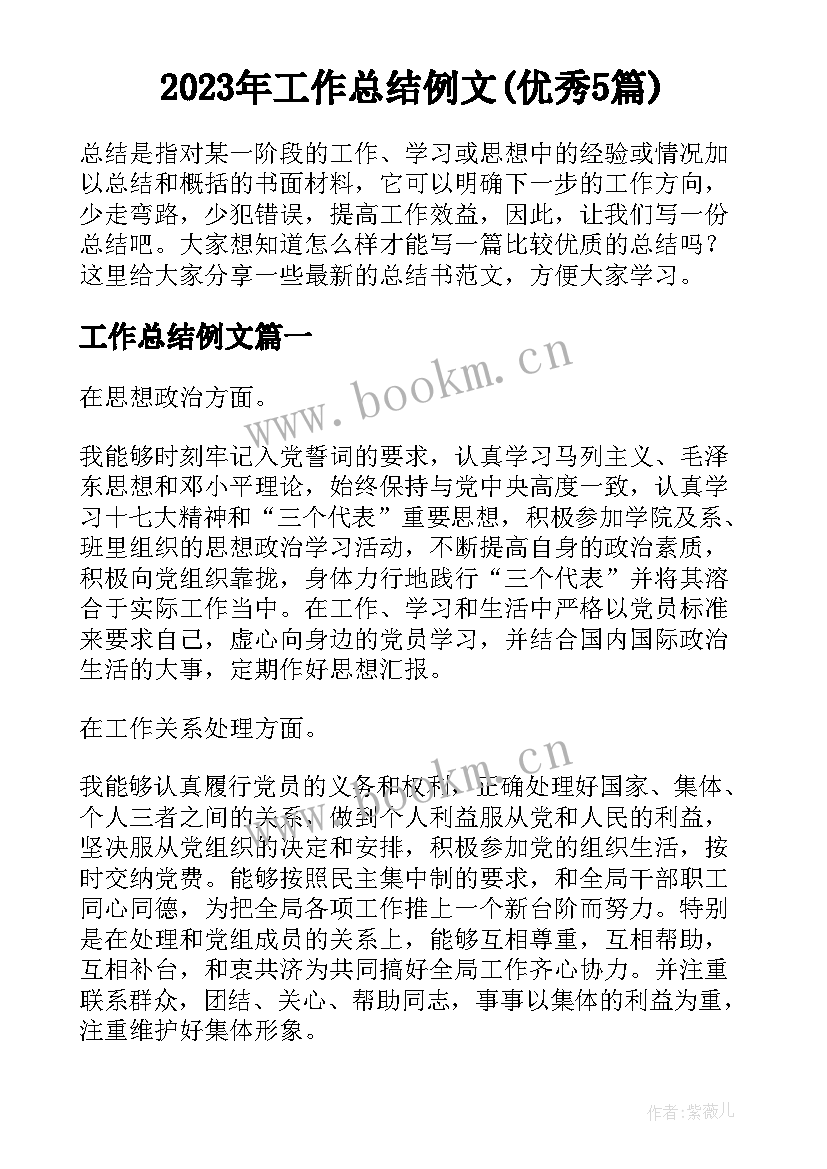 2023年工作总结例文(优秀5篇)