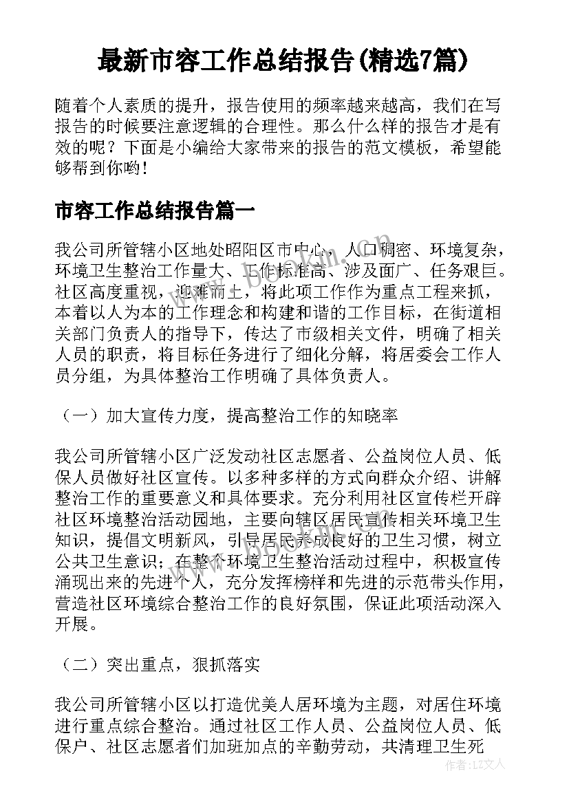 最新市容工作总结报告(精选7篇)