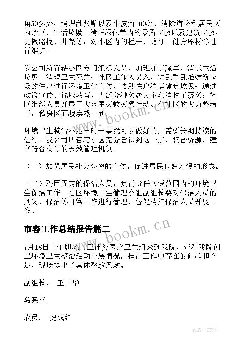 最新市容工作总结报告(精选7篇)