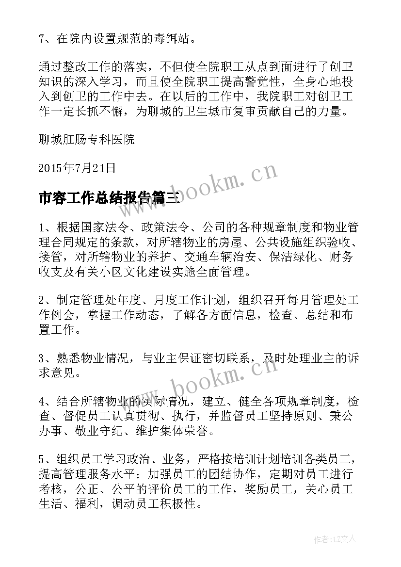 最新市容工作总结报告(精选7篇)