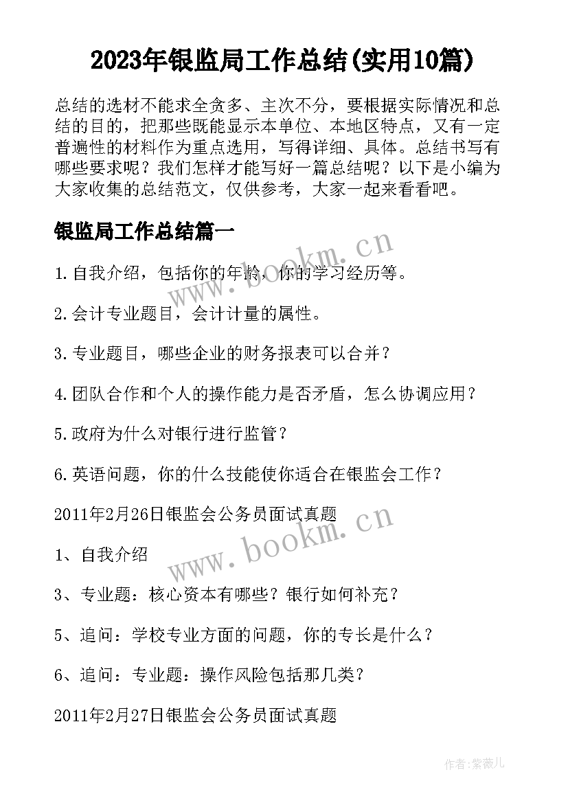 2023年银监局工作总结(实用10篇)