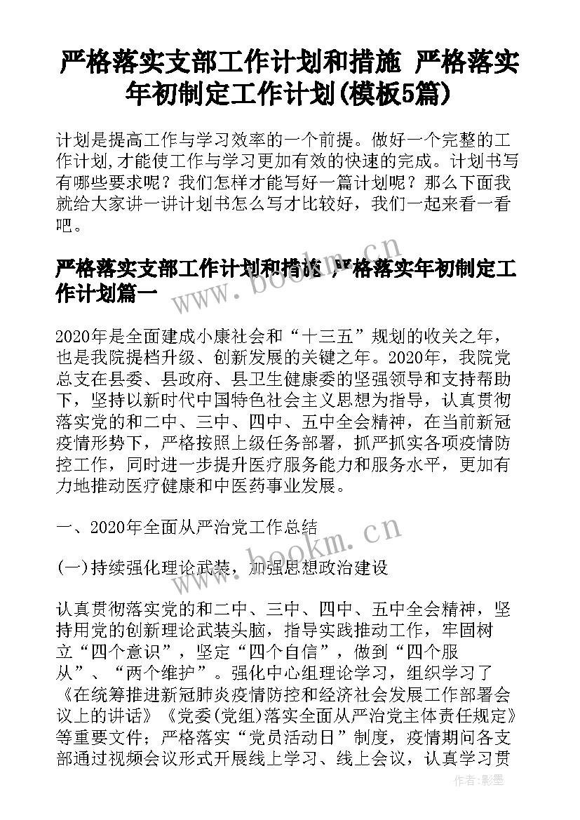 严格落实支部工作计划和措施 严格落实年初制定工作计划(模板5篇)