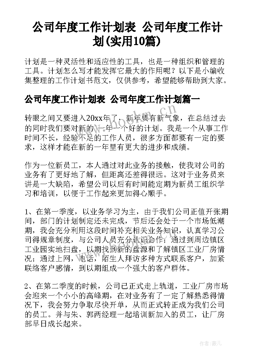 公司年度工作计划表 公司年度工作计划(实用10篇)