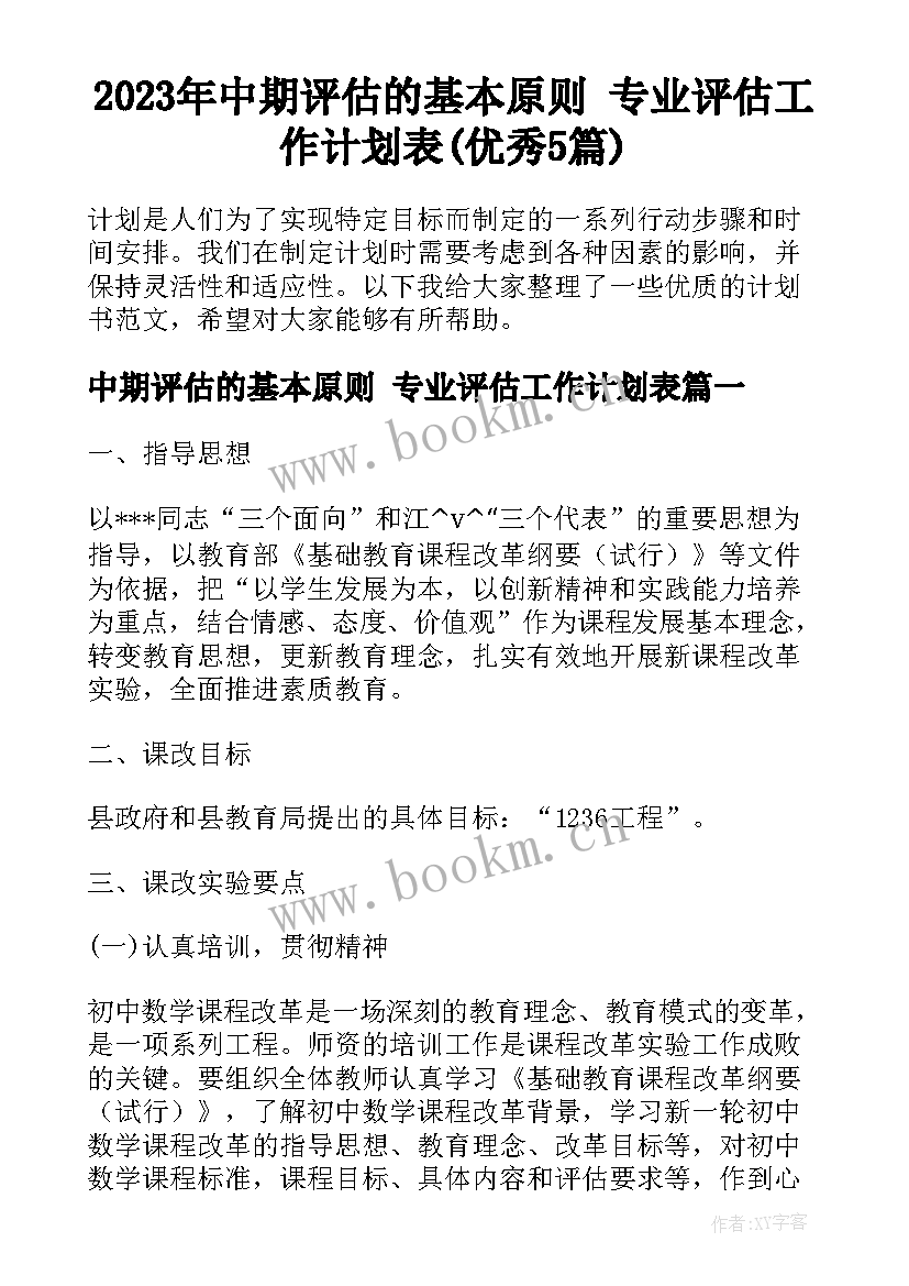 2023年中期评估的基本原则 专业评估工作计划表(优秀5篇)