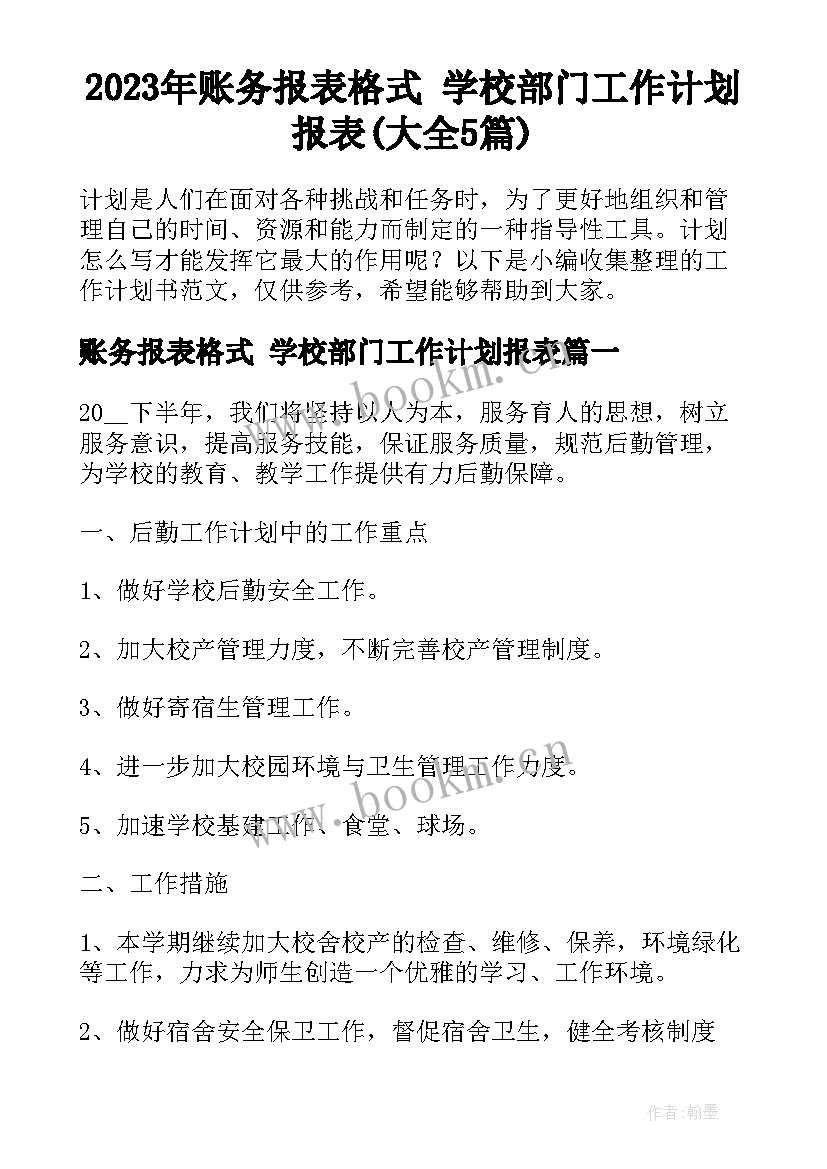 2023年账务报表格式 学校部门工作计划报表(大全5篇)