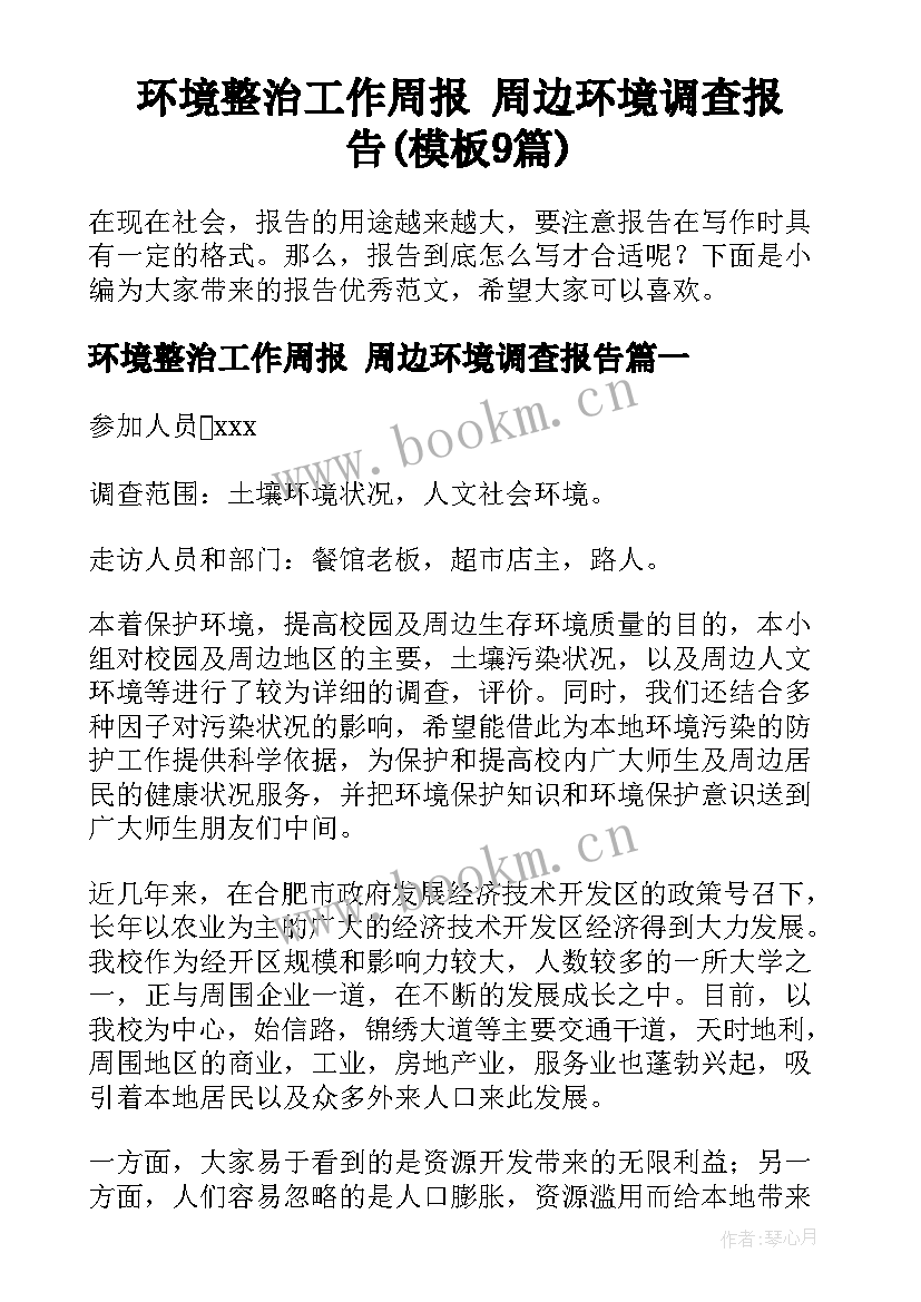 环境整治工作周报 周边环境调查报告(模板9篇)